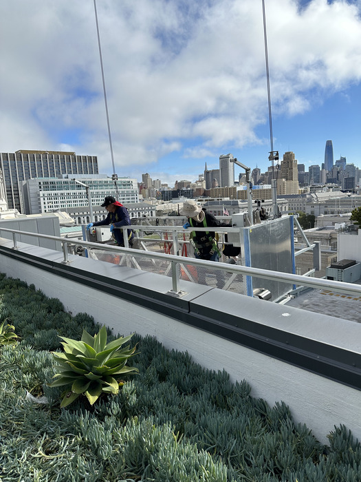 Project Image 19